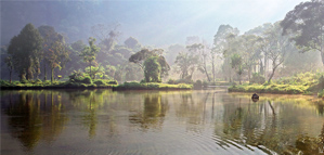 Henry Trust – The Misty Morning