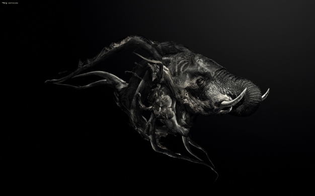 wallpaper_justin_maller