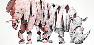 Les originales illustrations d’animaux Jaume Montserrat