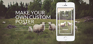 We Love Webdesign #237