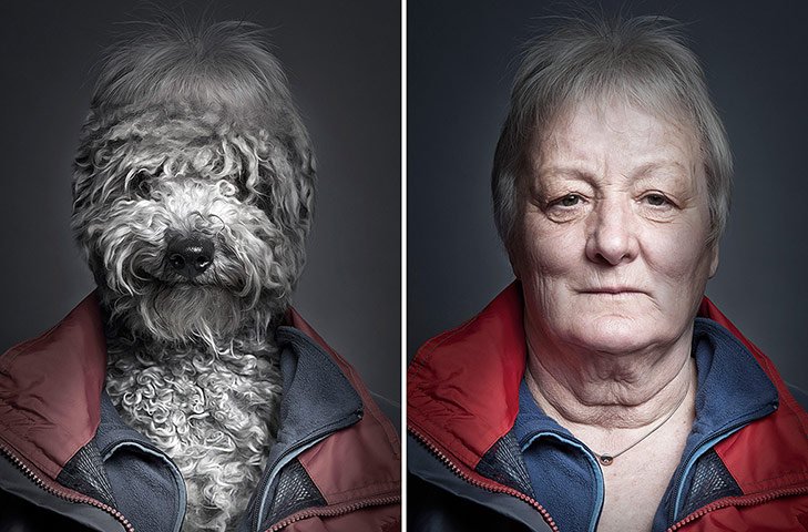 Underdogs The Original Projet Of Sebastian Magnani Art Spire