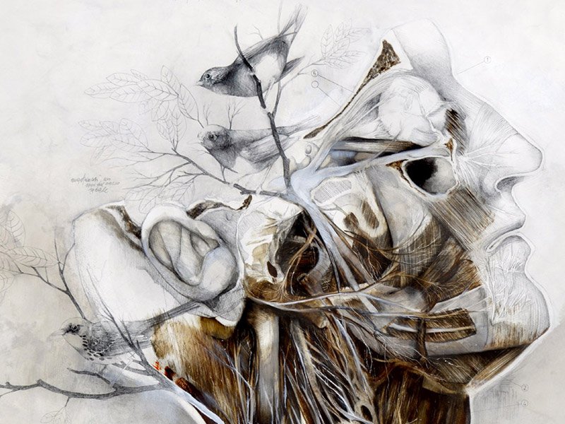 The Incredible Style Of Nunzio Paci Art Spire